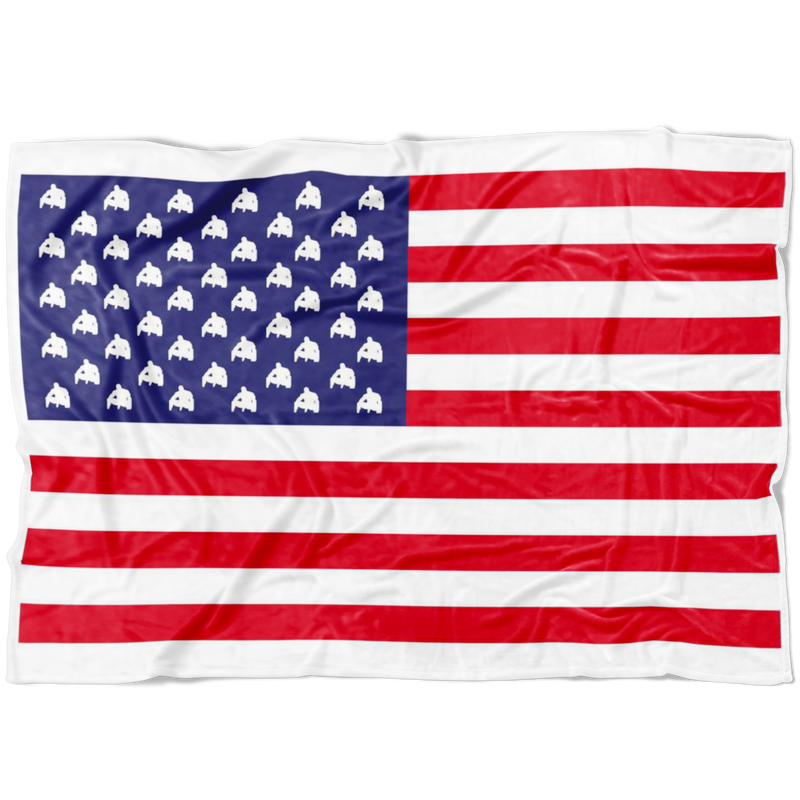 United States of Barry Fleece Blanket
